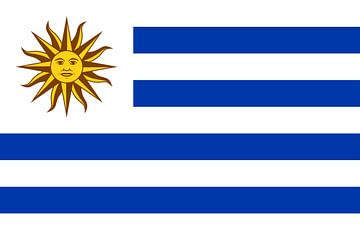 Vlag van Uruguay van de-nue-pic