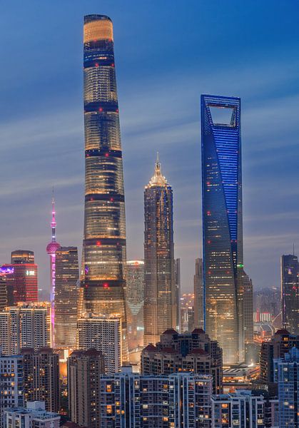 Shanghai am Abend von Sidney van den Boogaard