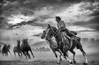 Gauchos und Pferde