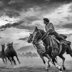 Gauchos et chevaux sur Eric Verdaasdonk