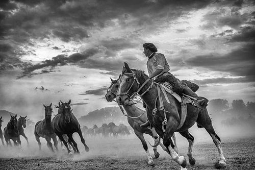 Gauchos et chevaux
