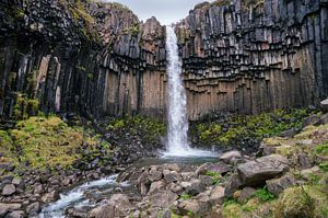 Chute d'eau de Svartifoss en Islande