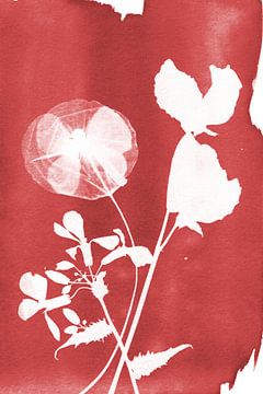 Rote Blumen von Lies Praet
