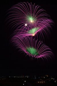 Feu d'artifice de trois "fleurs" violettes et vertes