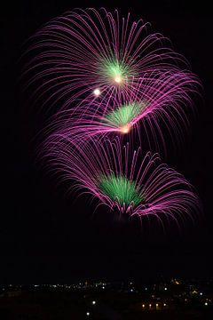 Feuerwerk aus drei lila und grünen "Blumen" von Anne Ponsen
