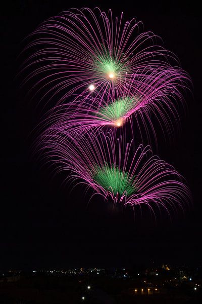 Fireworks of three purple and green &quot;flowers&quot; by Anne Ponsen