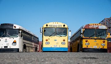 Trois bus classiques