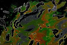 Umgekehrter Rorschach von De Rover