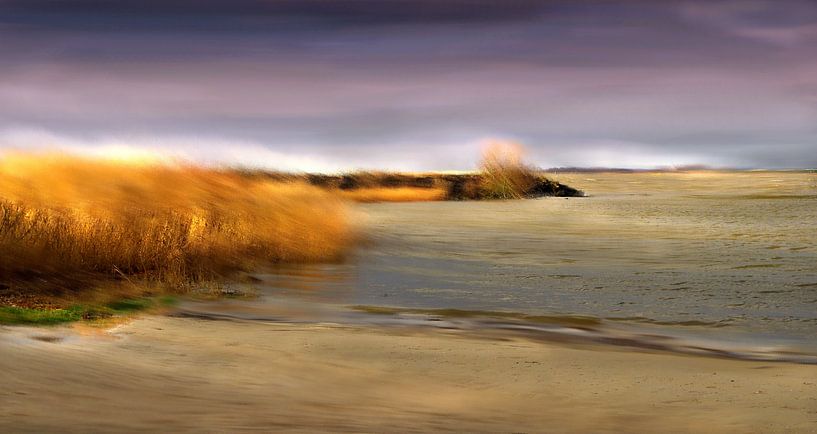 Seewind by Vera Laake