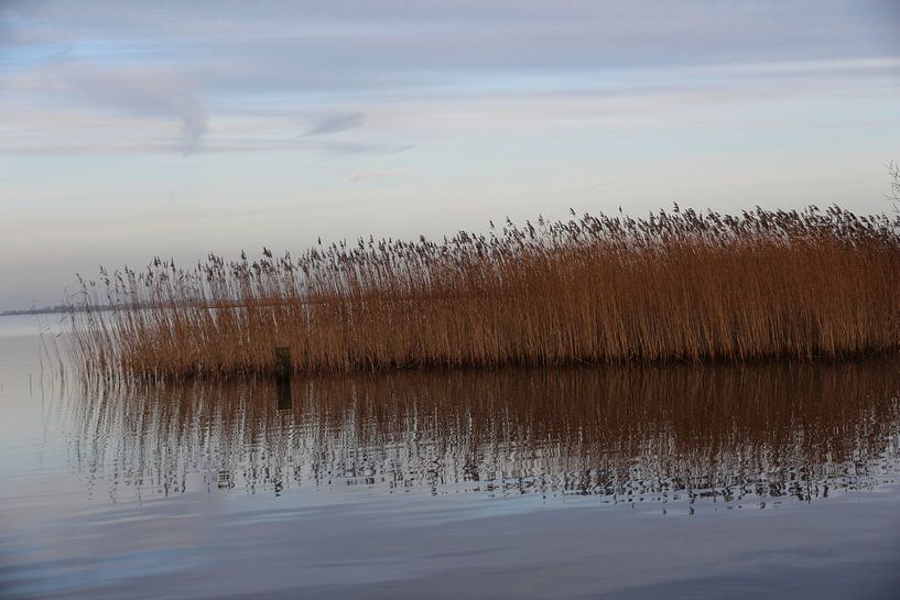 Fluessen - Elahuizen - Gains Rietkraag - Friesland by Fotografie Sybrandy