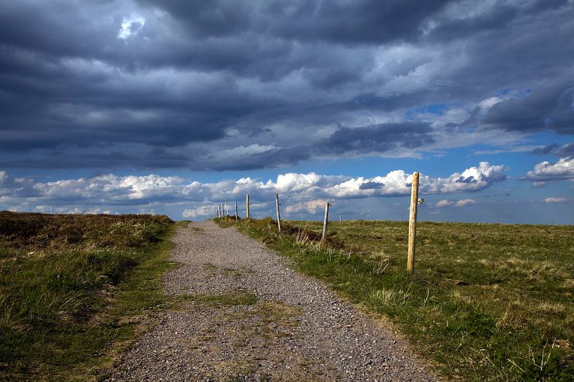 lonely way by Jürgen Wiesler