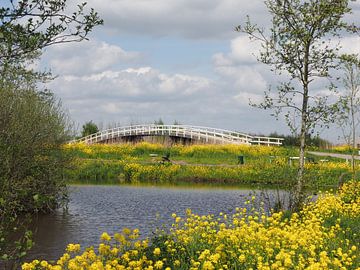 Fietsbrug in Alblasserwaard von Beeldbank Alblasserwaard