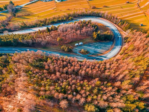 Road in Austria with forest