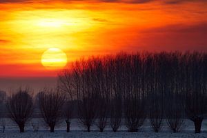 Winter zonsondergang von Dennis van de Water