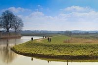 Walk through the Bossche Broek