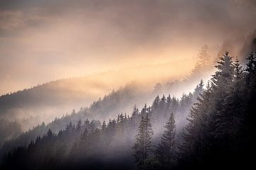 Brouillard matinal au Titisee dans la Forêt-Noire sur Peschen Photography