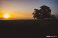 Zonsopgang - 4