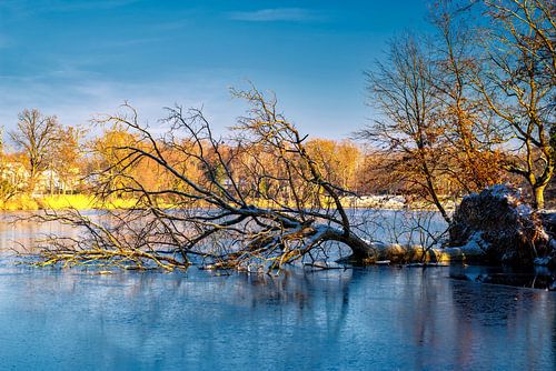 Victimes de la tempête