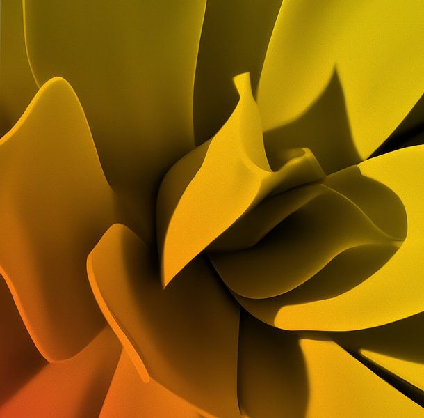 Hosta orange/gelb 1 von Charles Mulder