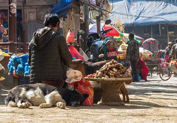 Op de markt in Thamel Kathmandu
