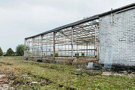 Das verlorene Gewächshaus von Studio kleine vos