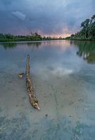 Biesbosch sunset