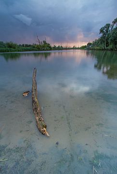 Biesbosch zonsondergang van Desiree van Oeffelt