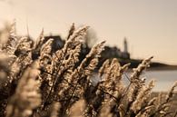 View on Urk by Freddy Hoevers thumbnail