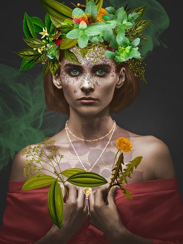 Herboriste - H. Fischer