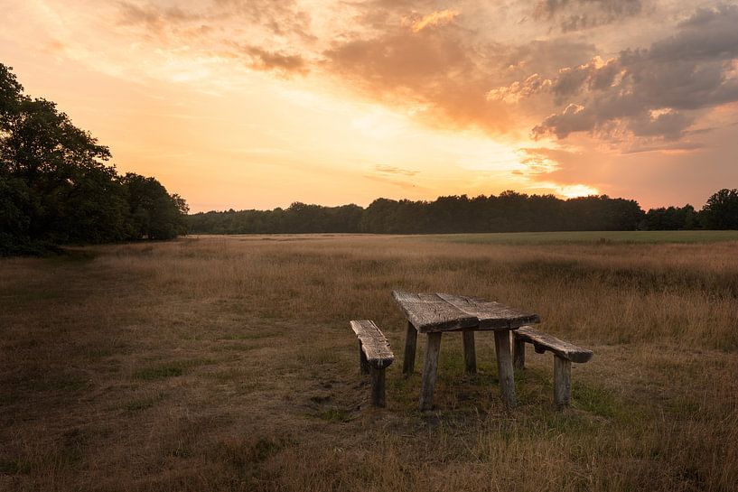 Genießen Sie die Aussicht in Drenthe von KB Design & Photography (Karen Brouwer)