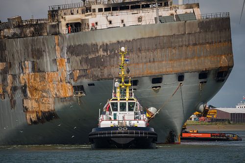 Ramship Fremantle Highway and Multratug 20