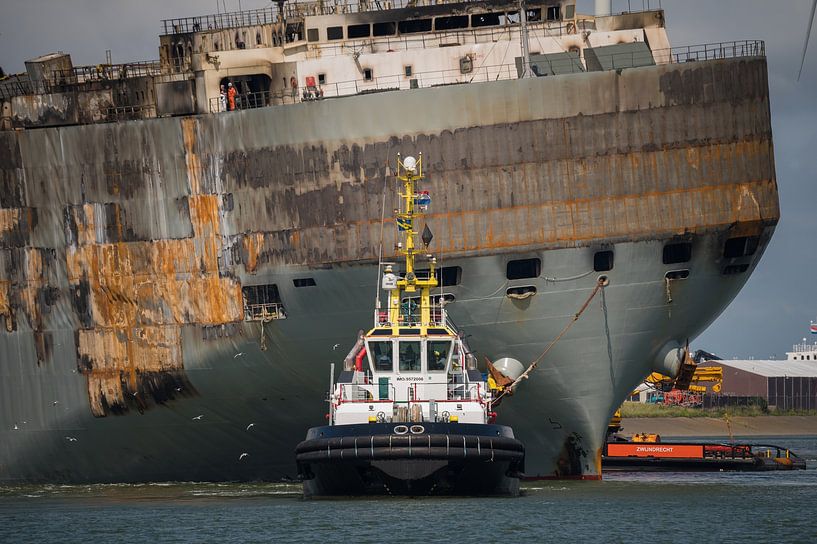 Ramship Fremantle Highway und Multratug 20 von Jan Georg Meijer