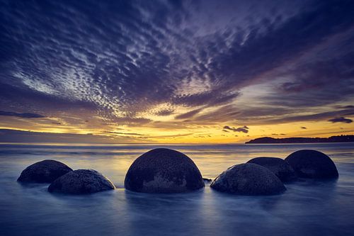 Beschermers van de dageraad van Keith Wilson Photography