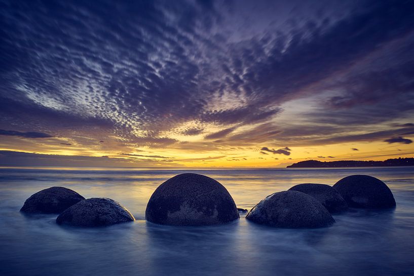 Wächter der Morgendämmerung von Keith Wilson Photography