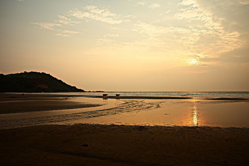 Blazing twilight on Gokarna beach by Frank Photos