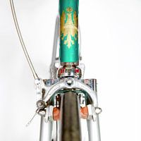 Bianchi art