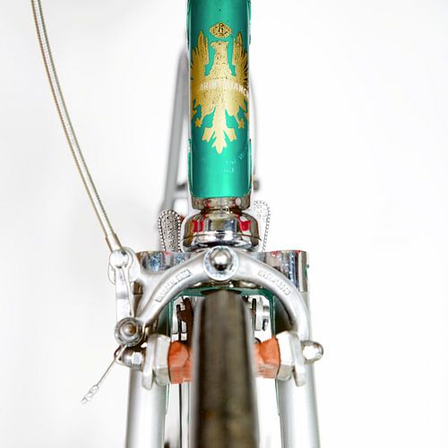 Bianchi art by Leon van Bon