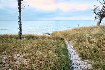 Am Strand der Ostsee mit Dünen von Martin Köbsch
