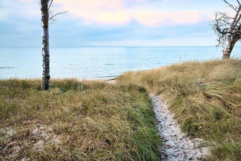 On the Baltic Sea beach with dunes by Martin Köbsch