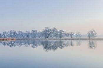 Zonsopgang - Serene weerspiegeling van bomen in het water - 2.