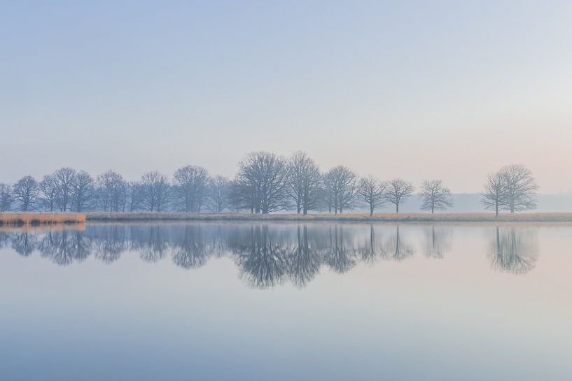 Gelassene Reflexion von Yvon van der Laan