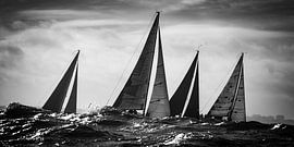 De donkere zee van Laurens Morel