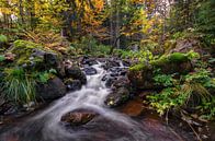 Herfst in het Harz gebergte van Steffen Gierok thumbnail