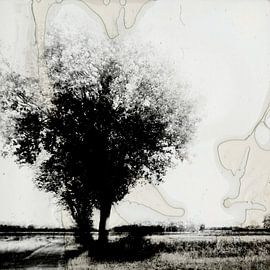 landscape under destruction #01