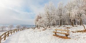Winter auf der Posbank