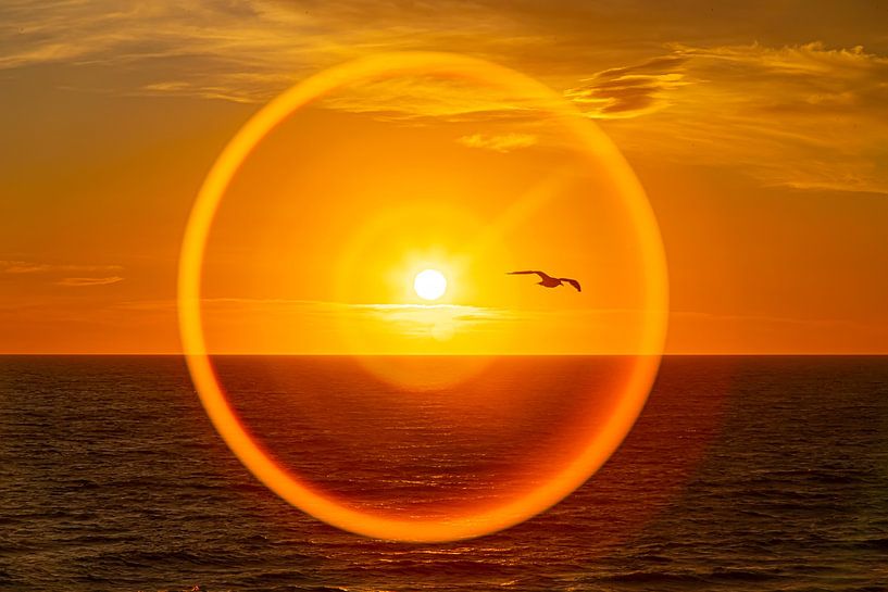 Le cercle complet par Saskia S