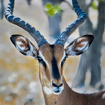 Zwartkop Impala in Etosha Nationaal Park, Namibie van Rietje Bulthuis