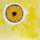 Glaube 2024 von Michael Ladenthin Miniaturansicht