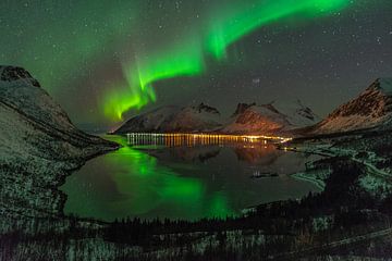 Nordlicht über der Bucht in Senja von Bart Telling