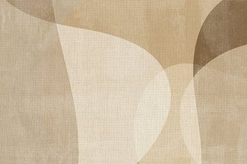 Abstracte aardse vormen van Dina Dankers